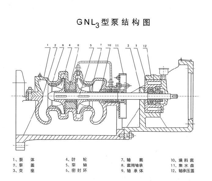 GNL3结构图
