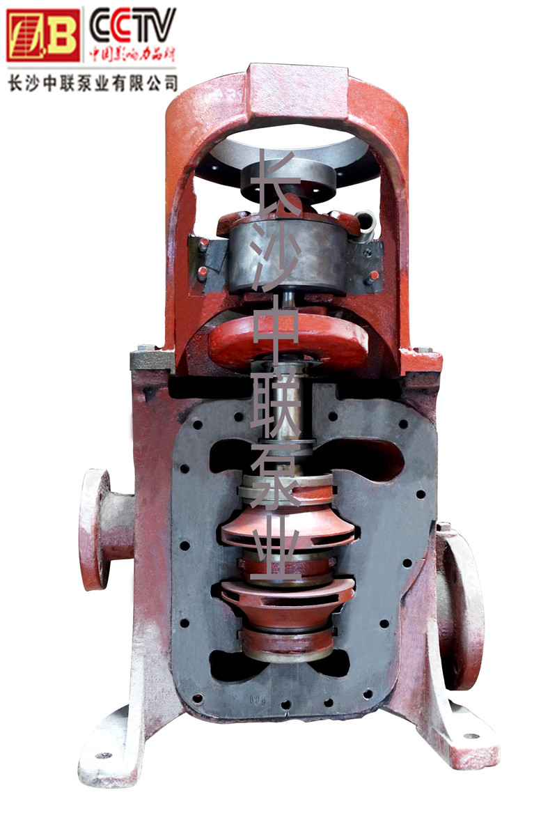 GNL3凝结泵解刨图