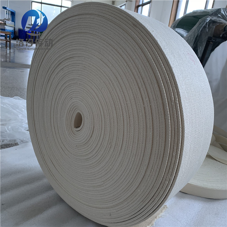 帆布输送带 (58)