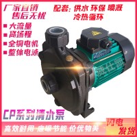源立CP-128家用清水泵冷热水循环泵220V/380V