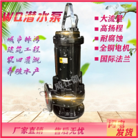 源立水泵WQG15-15-1.5潜水污水泵无堵塞防腐蚀大流量