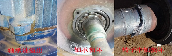 QQ截图20201130101507